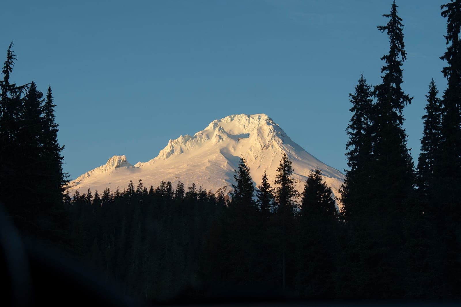 Conservation groups hold public meetings on Oregon forest protections after feds won’t