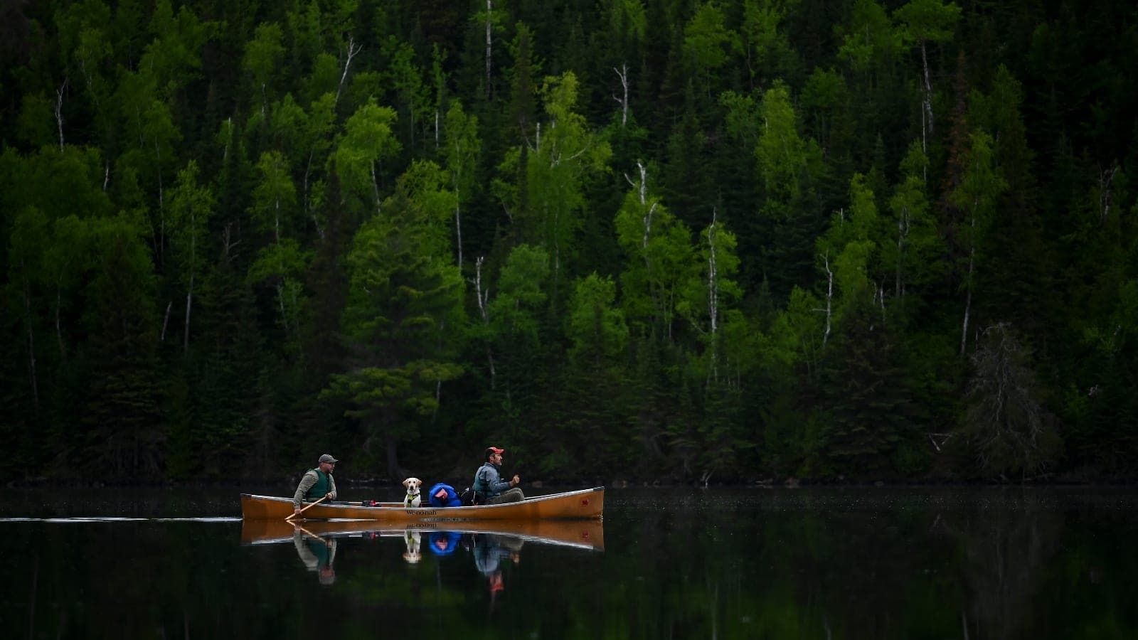 Republicans deploy little-known law to open Minnesota wilderness to mining