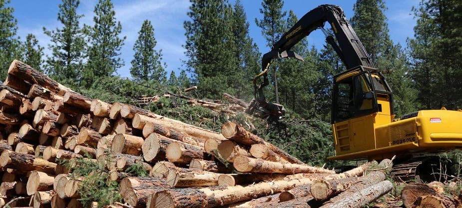 Oregon Dems request feds get more public input on massive new logging plans for western forests