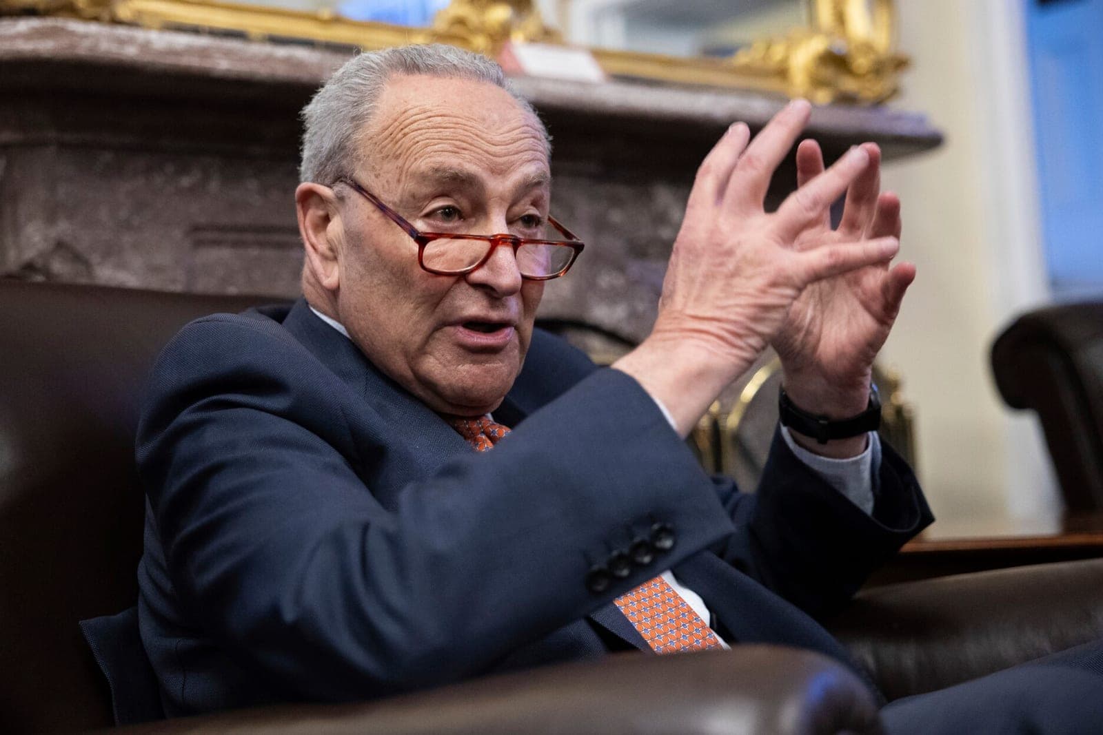 Chuck Schumer: ‘We’re Going to Take Back the Senate’