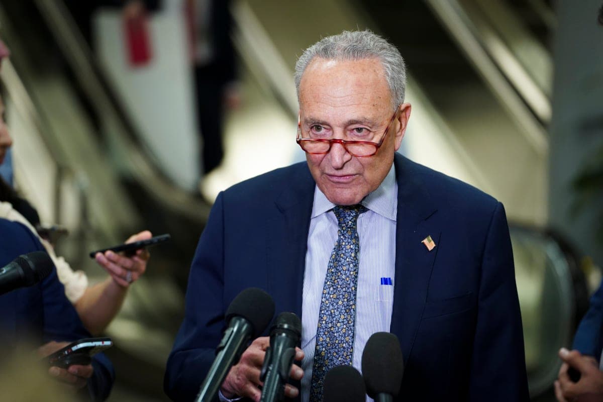 Senate Democrats Are Quietly Plotting To Oust Chuck Schumer