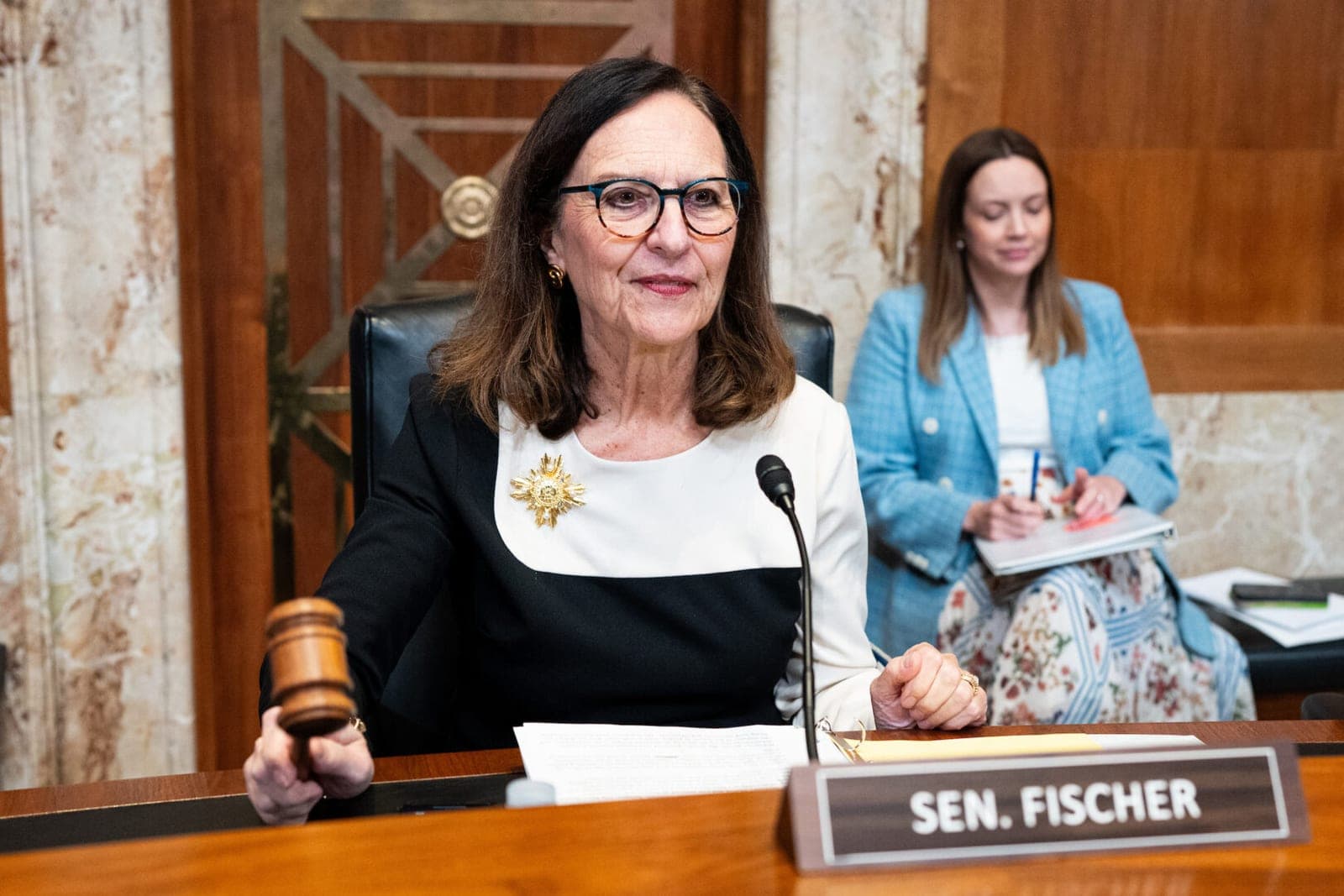 Legislative branch hearing sidesteps last year’s drama
